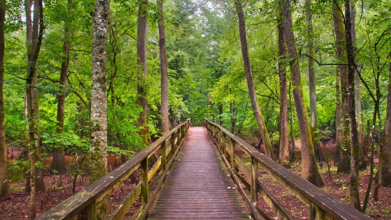 Congaree National Park is one of America's least visited national parks