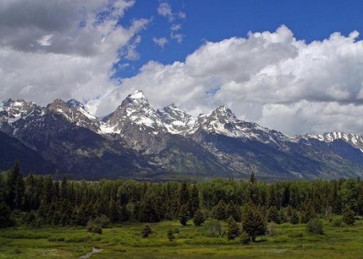 plan a trip from denver to yellowstone national park
