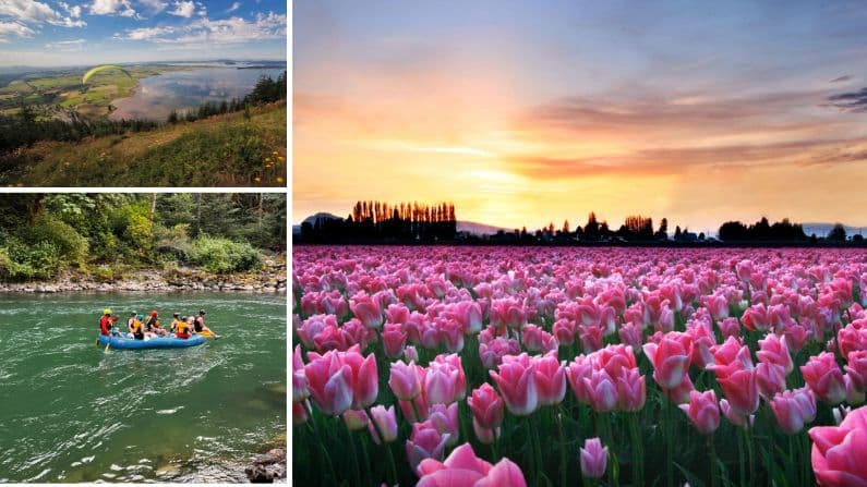 Collage of wildflowers and outdoor activities on Cascade Loop route