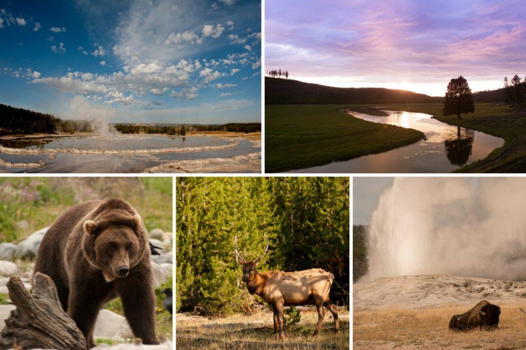 Big Sky, Montana - scenery and wildlife