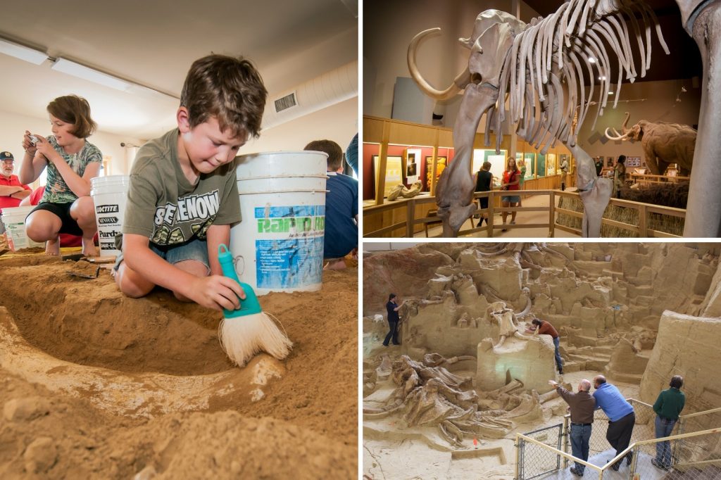 Searching for fossils at the Mammoth Site