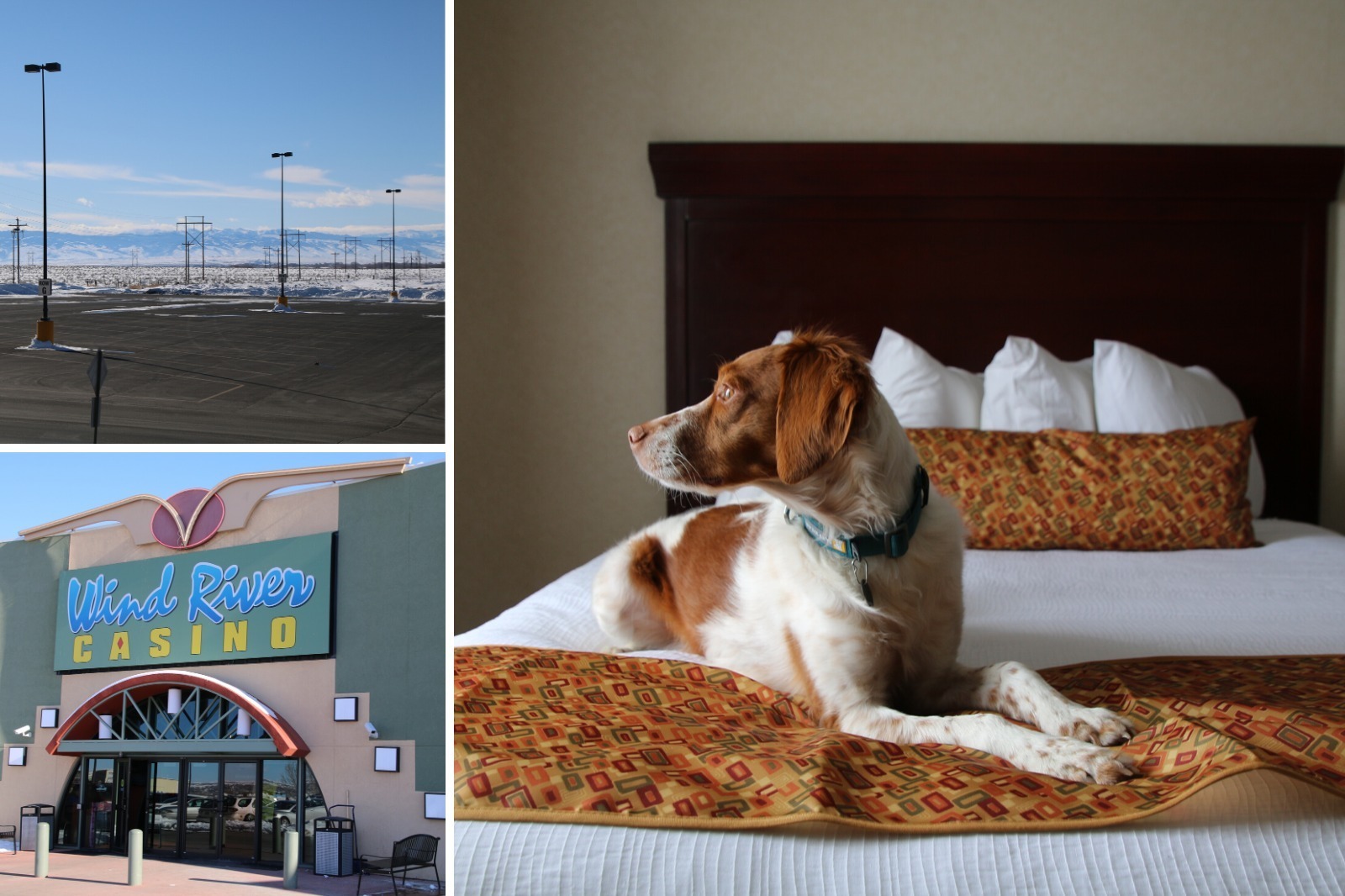 Dog friendly room and views at Wyoming Casino in Riverton: Wind River Hotel & Casino