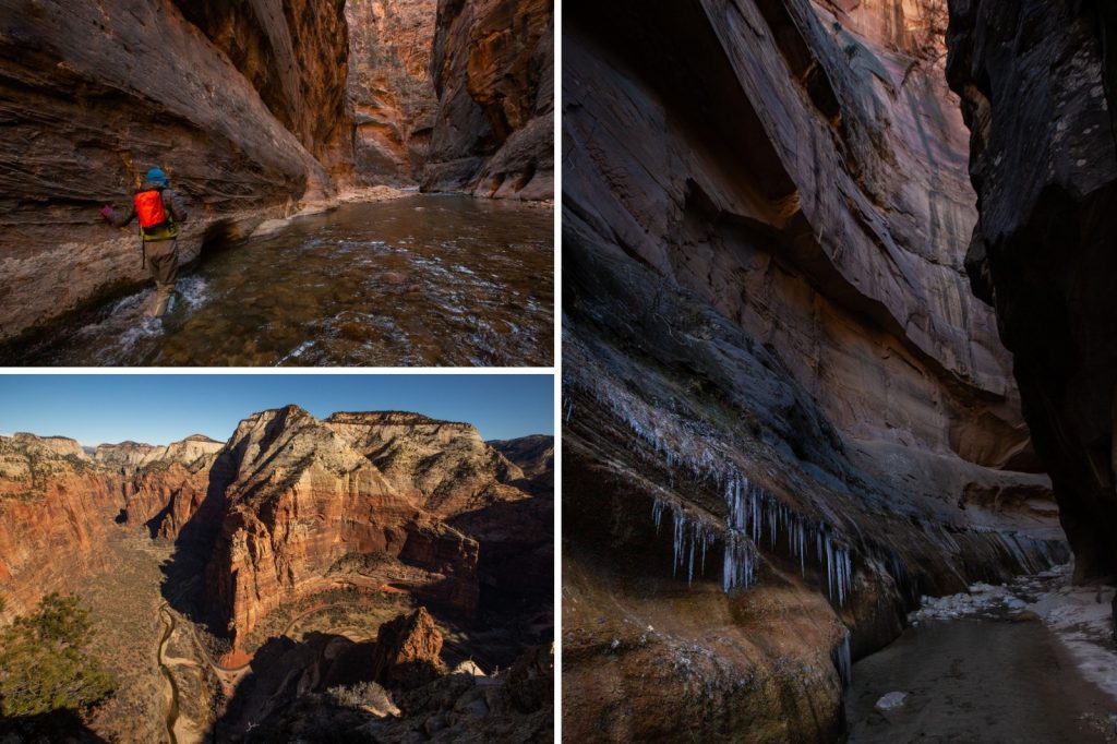 Collage of photos from a Zion National Park winter