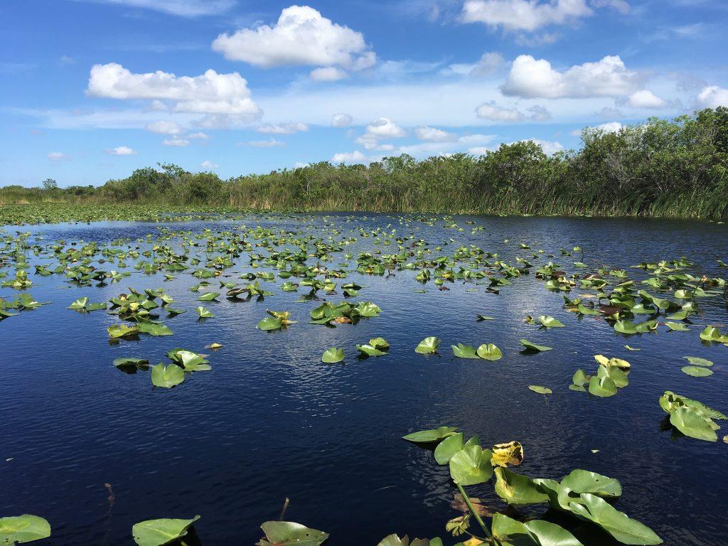 Everglades National Park in Florida