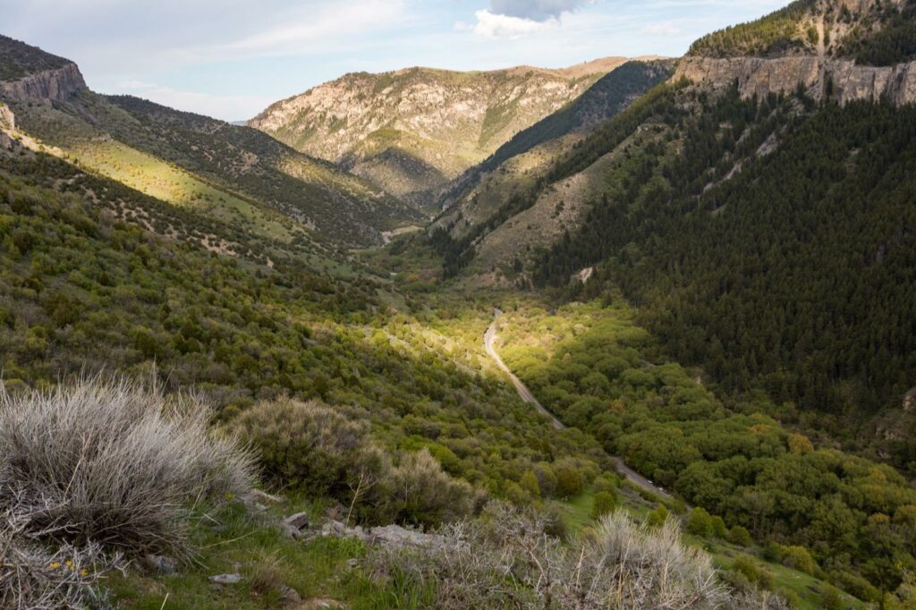 Logan Canyon Scenic Byway - Cache Valley, Utah