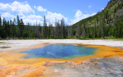 Parc national de Yellowstone : La merveille géothermale de l’Amérique
