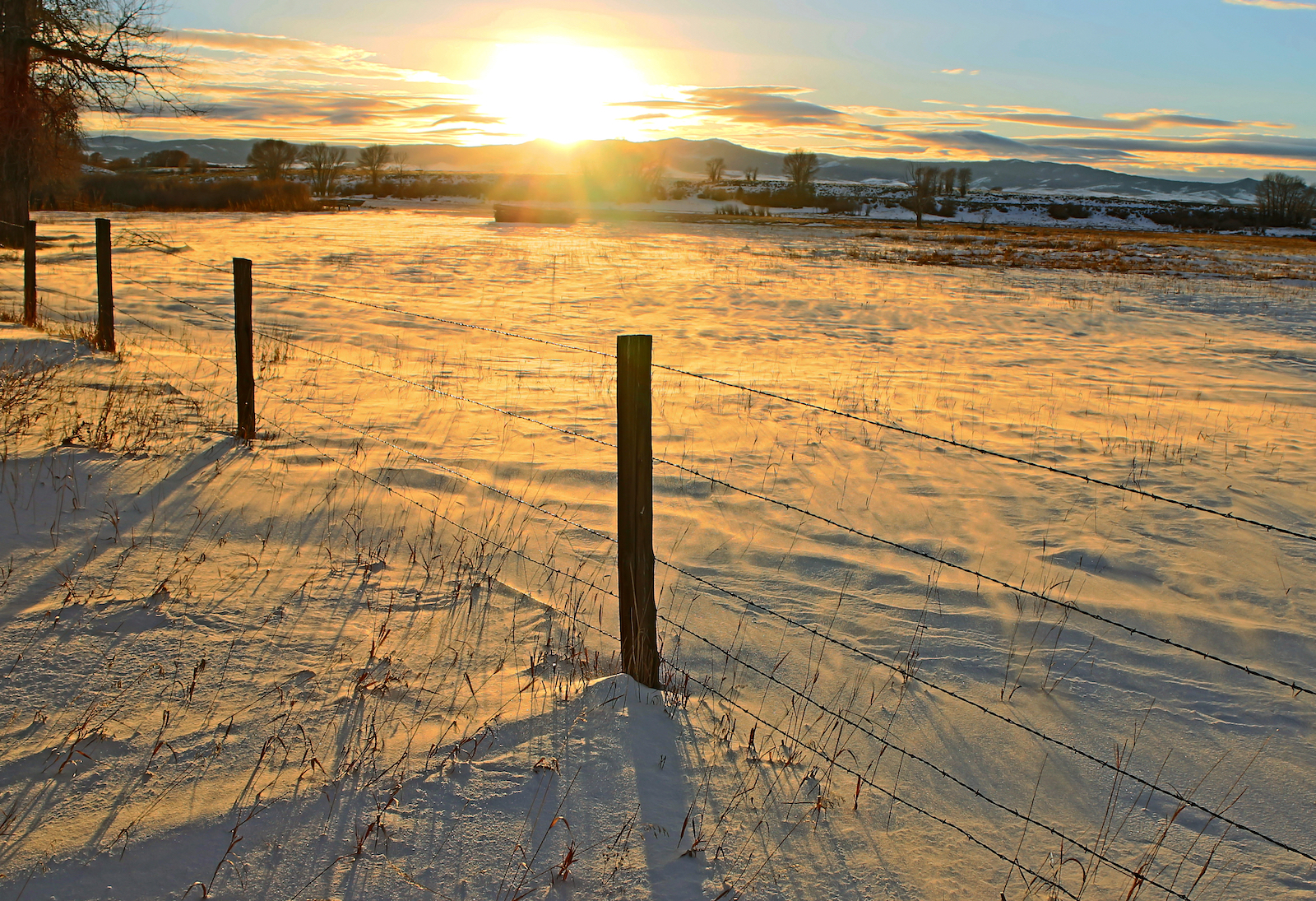 snow and a barbed wire fence at sunset during winter in Carbon County, Wyoming