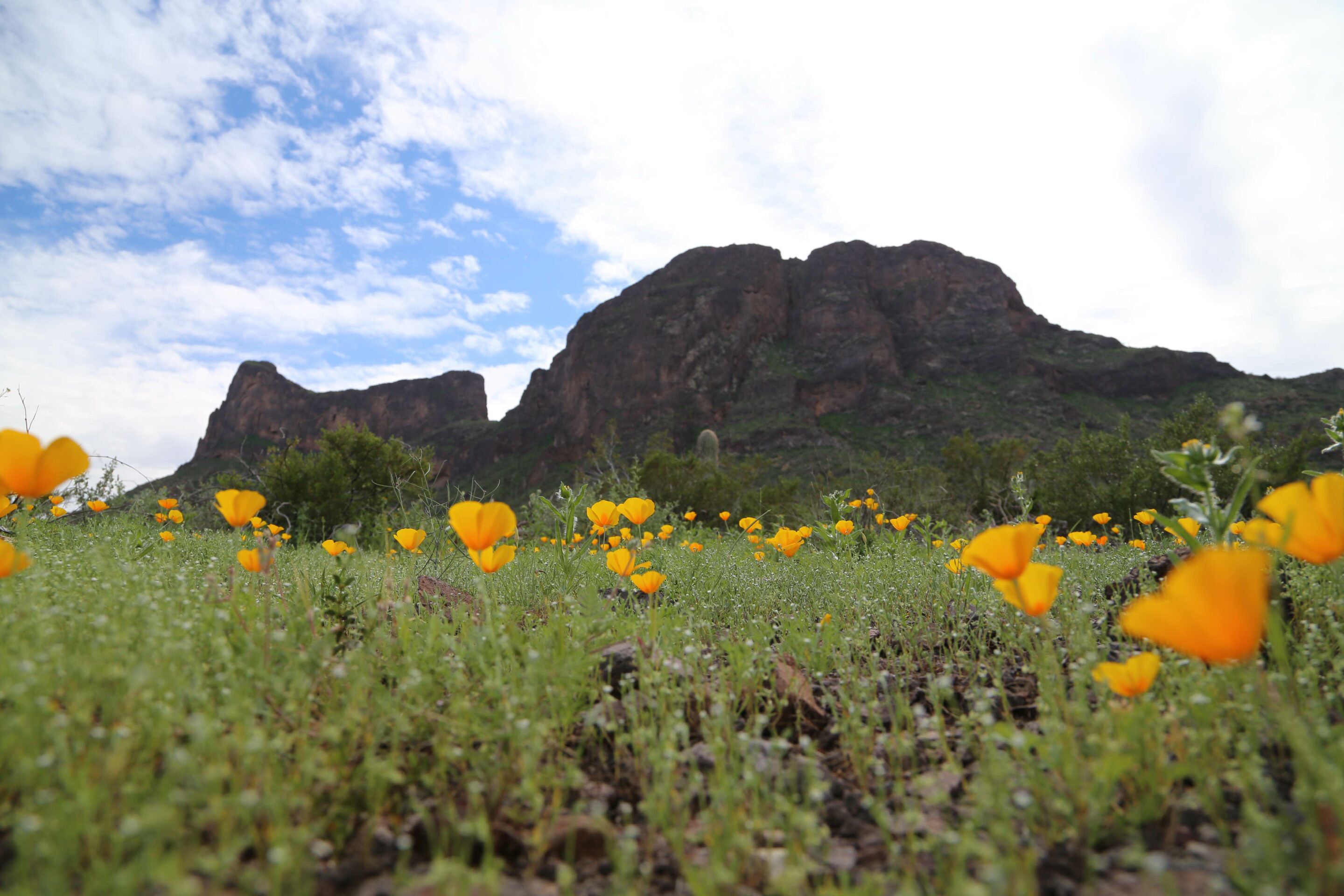 Which Arizona State Parks to Visit This Spring