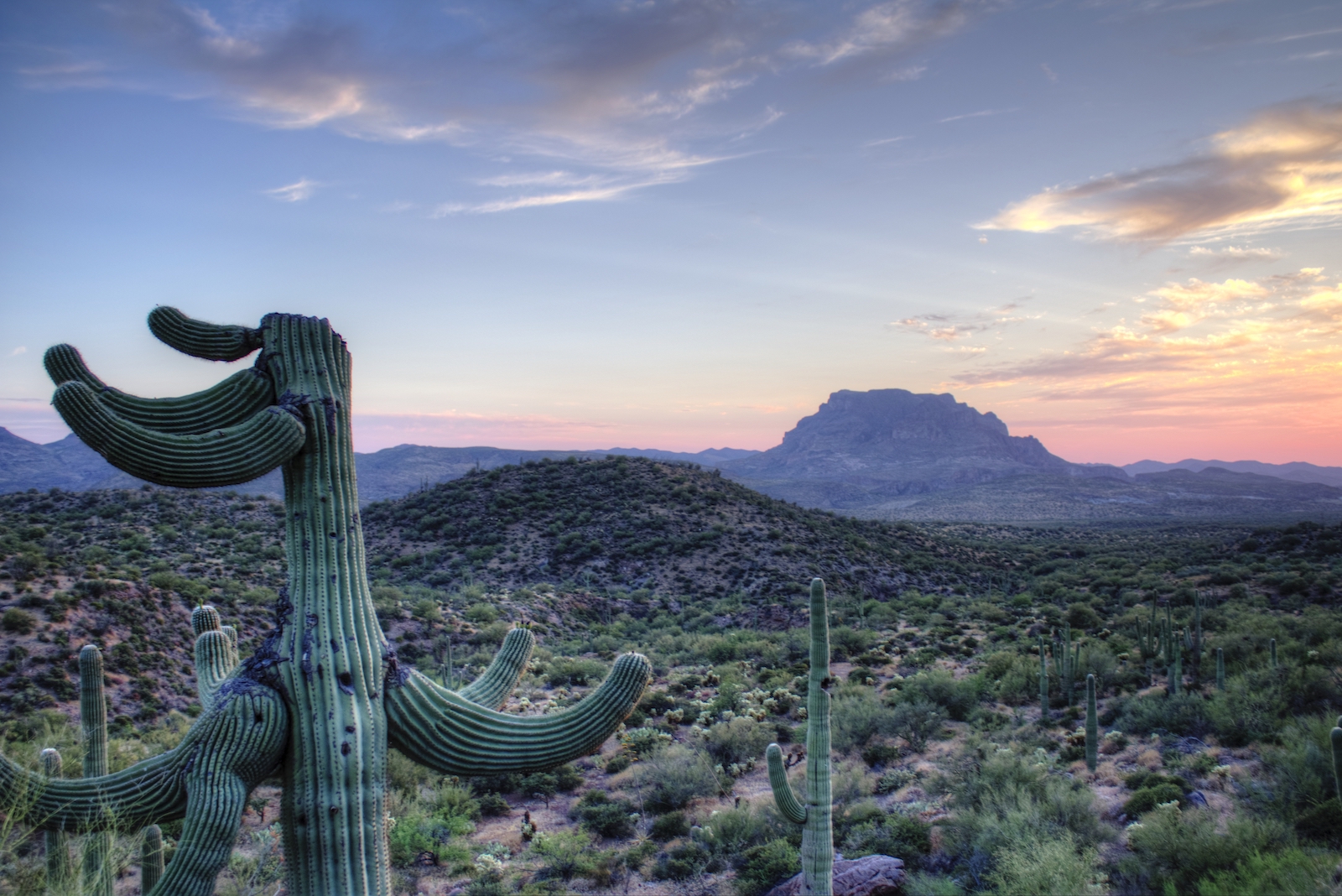 Sunset with mountain and saguaro cactus in Superior, Arizona