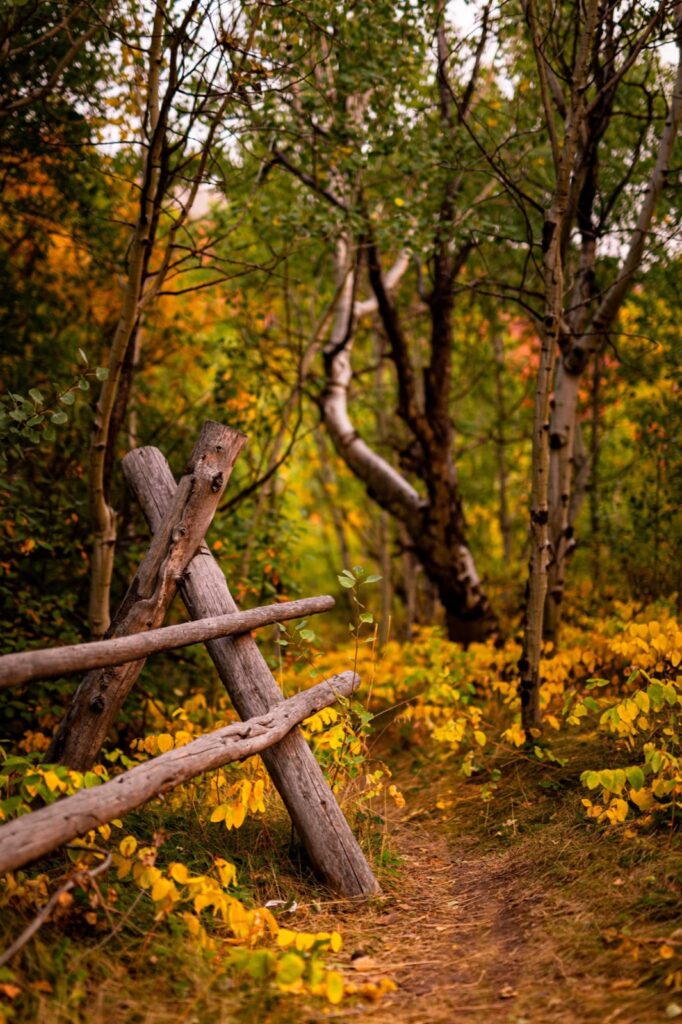 Pocatello, Idaho - Trails in the fall