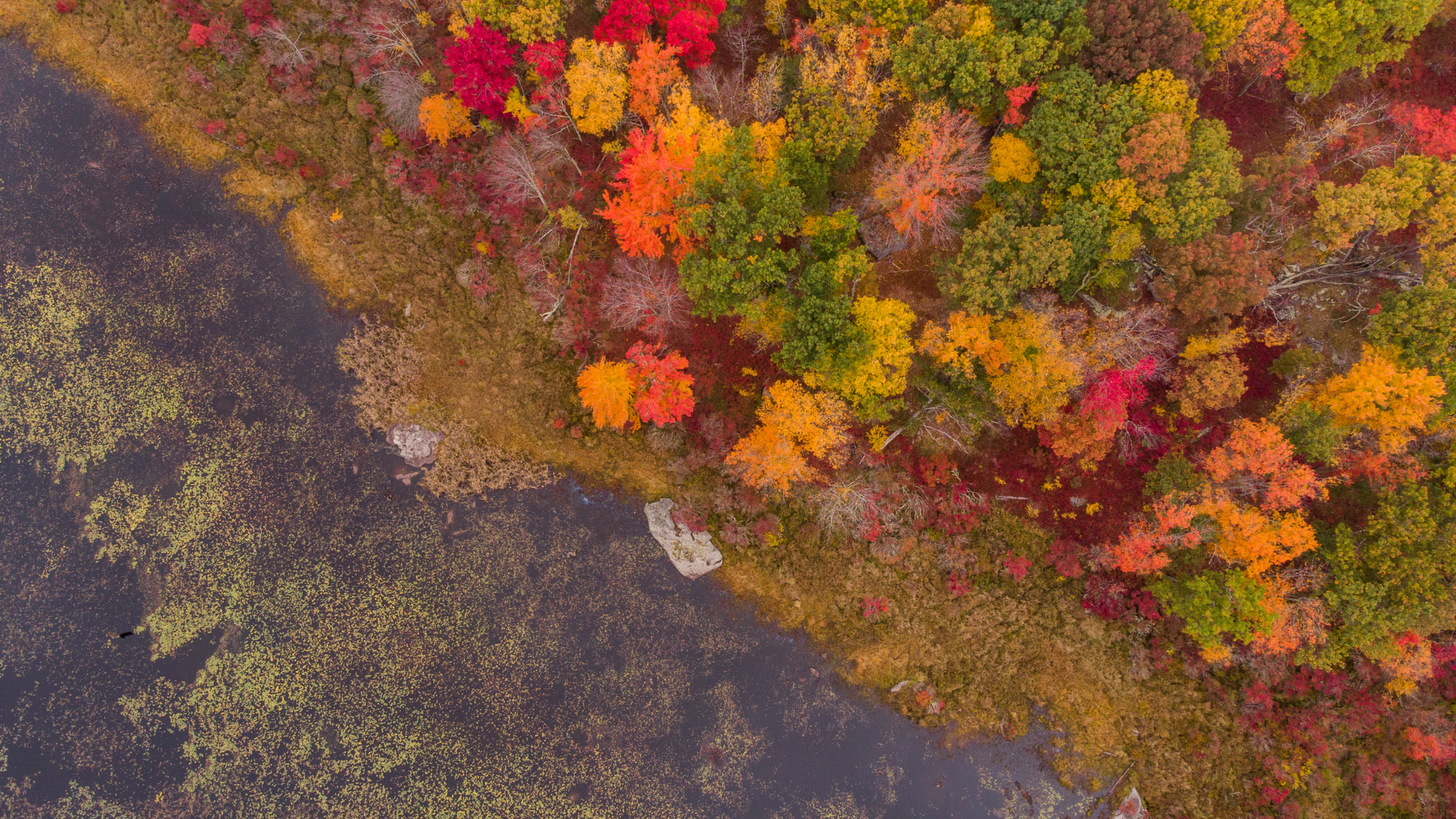 New England Fall Foliage Road Trip