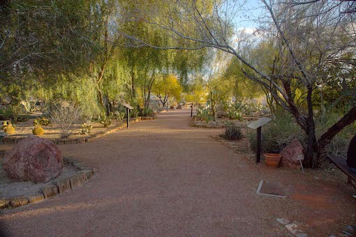 Accessible trail with trees and displays at Lake Havasu State Park