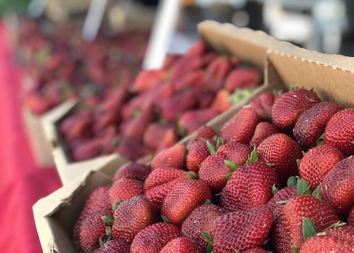 Strawberries at fruit stand
