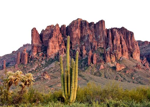 Cacti and rock formations inLost Dutchman State Park in Arizona