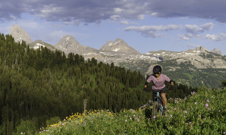 Mountain biker in wildflowers with Teton Mountains in background