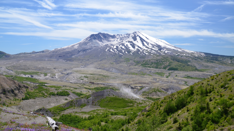 Mount St. Helens towers above the surrounding landscape at Mount St. Helens National Volcanic Monument