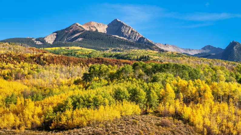 fall colors in Colorado
