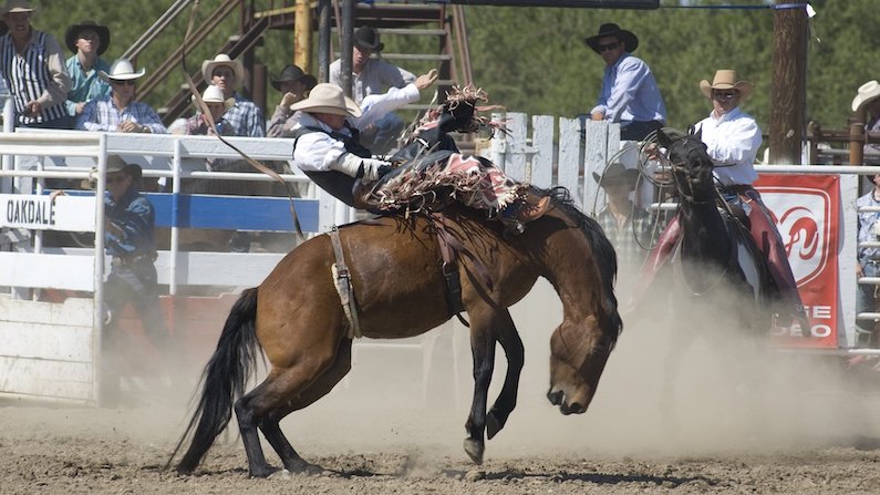 Bronc riding in a rodeo in Central Valley, CA