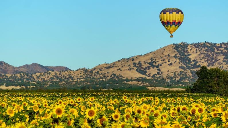 Hot air balloon over sunflower field in Central Valley