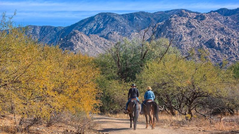 Equestrians in Catalina State Park