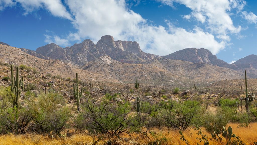 Explore Southern Arizona's State Parks - Visit USA Parks