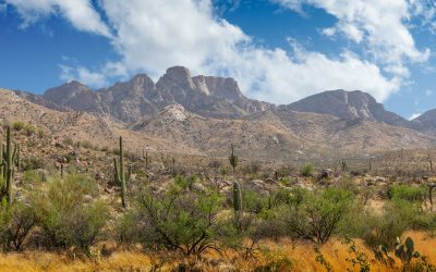 Explora los parques estatales del sur de Arizona