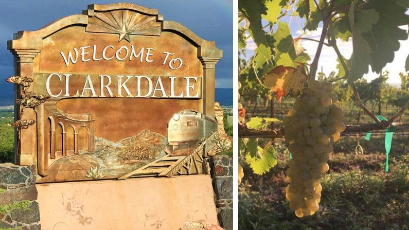 Clarkdale welcome sign and vineyard