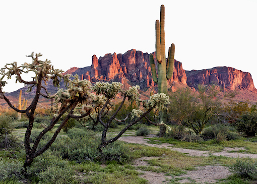 Lost Dutchman State Park in Arizona at Sunset