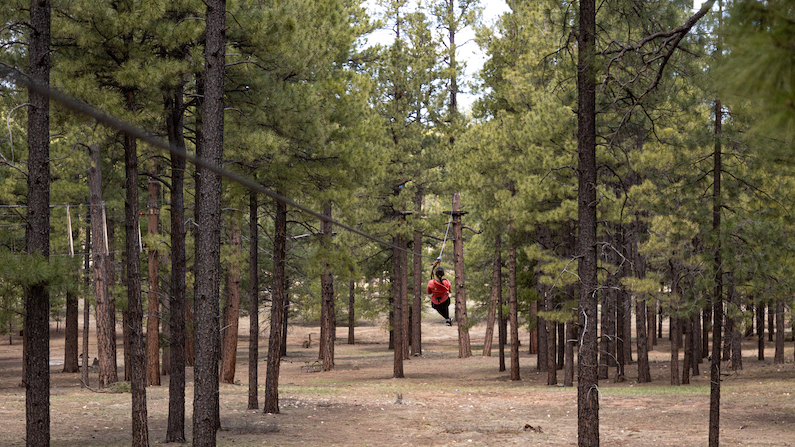 Ziplining in Flagstaff