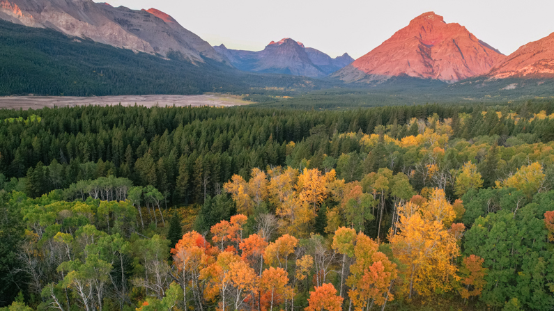 Landscape photo of East Glacier National Park in autumn with alpen glow on distant mountains