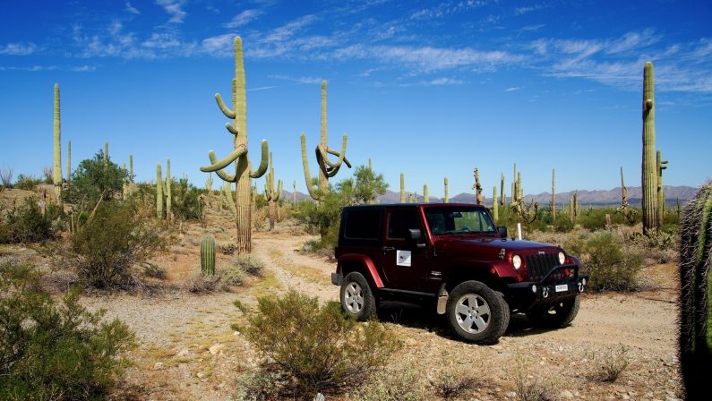 A dark red Jeep sits amid saguaro cacti on a beautiful day in central Arizona.