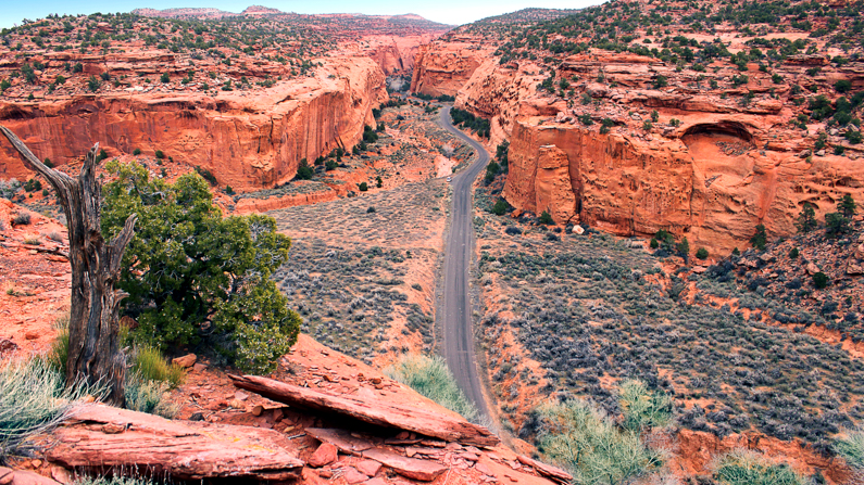 Road between canyon walls in Bryce Canyon Country