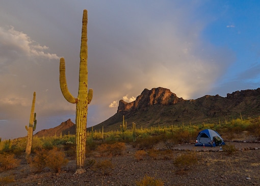 Picacho tent camping