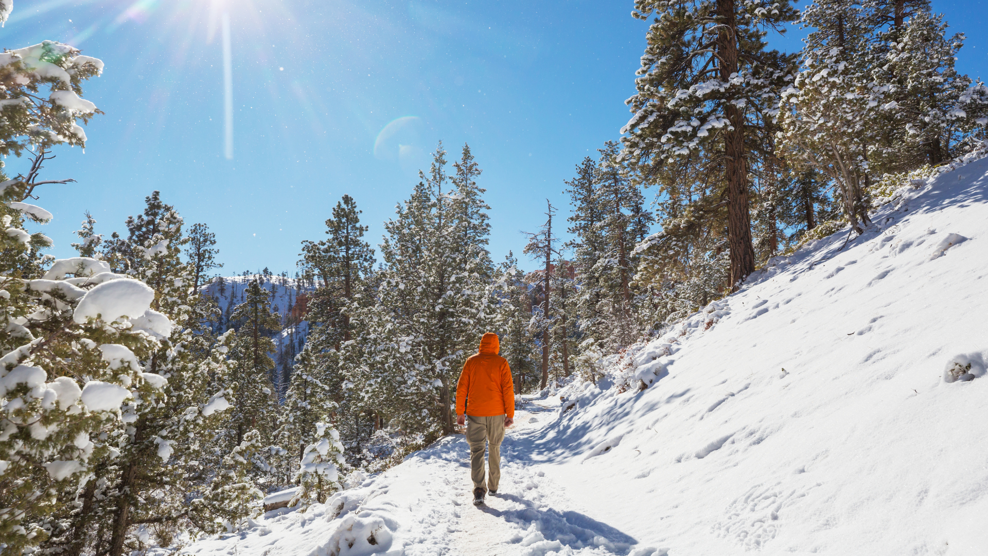 Embrace the Chill: Essential Tips for Winter Hiking