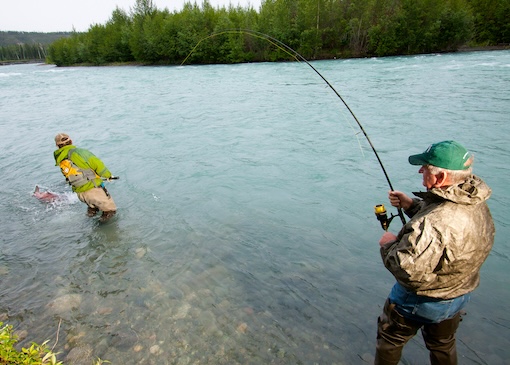 Guided fishing on the Klutina River fishing for Copper River King Salmon