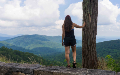 The Blue Ridge Parkway Road Trip: Shenandoah & Great Smoky Mountains National Parks