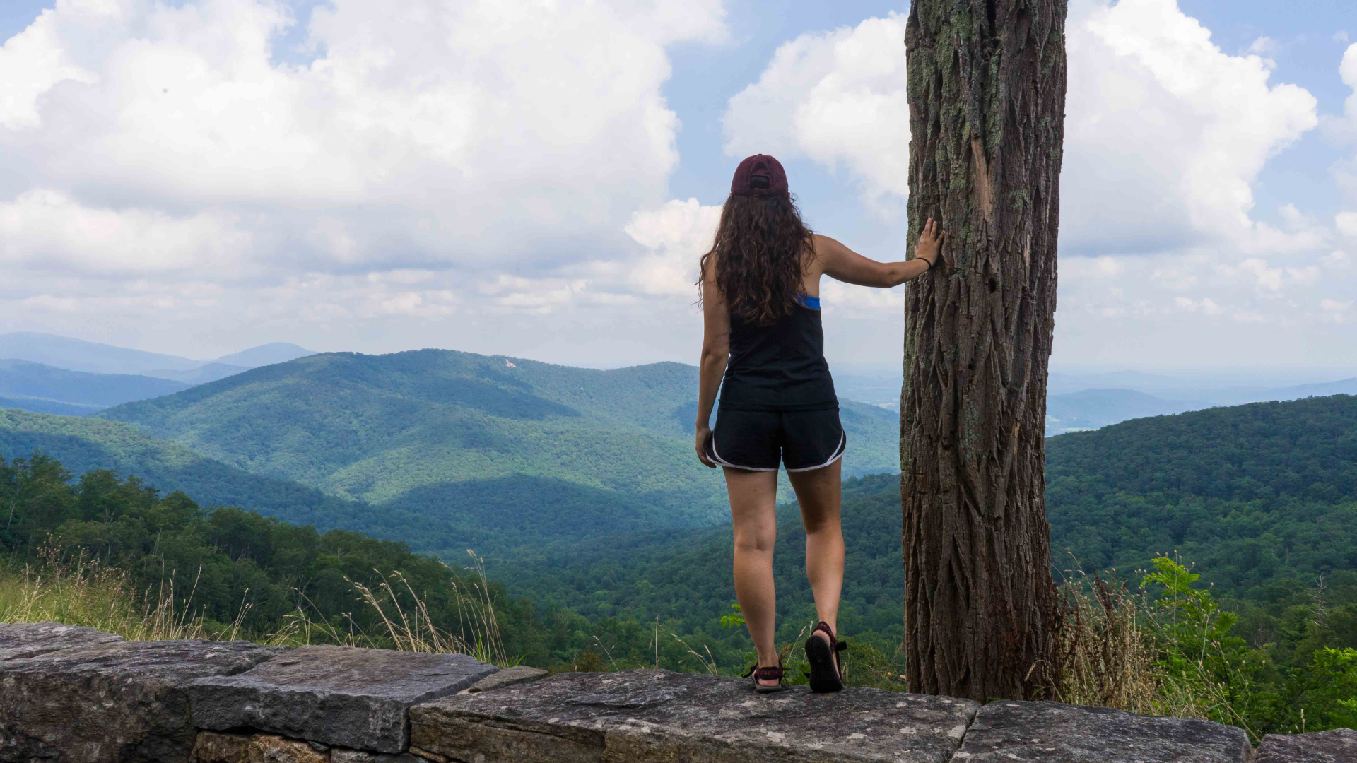 The Blue Ridge Parkway Road Trip: Shenandoah & Great Smoky Mountains National Parks