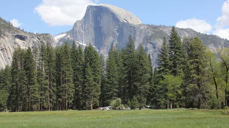 Yosemite National Park Train Ride