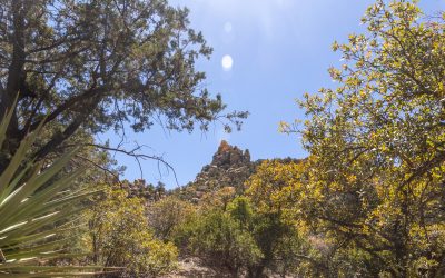 4 Days, 4 Towns: Road Tripping Through Cochise County