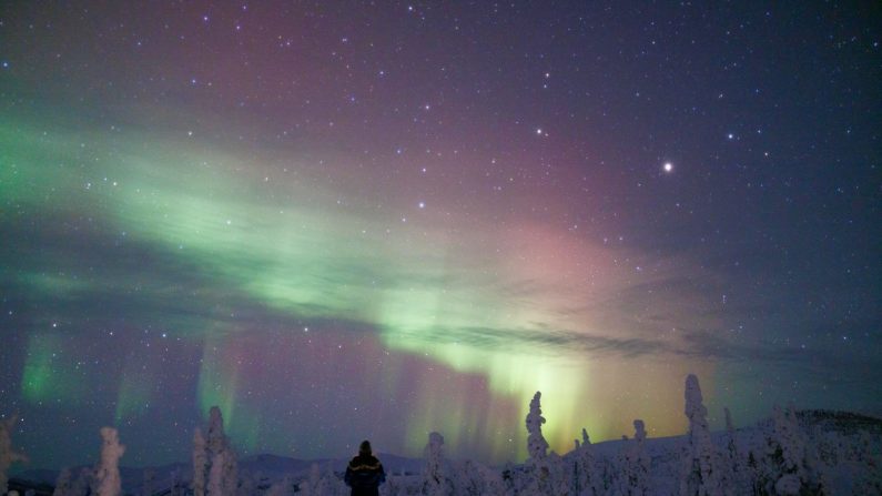 Northern Lights in Fairbanks, Alaska